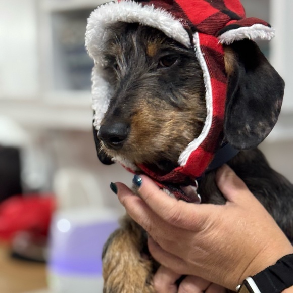 Meet your Posher, Janine - Picture 5 of 7